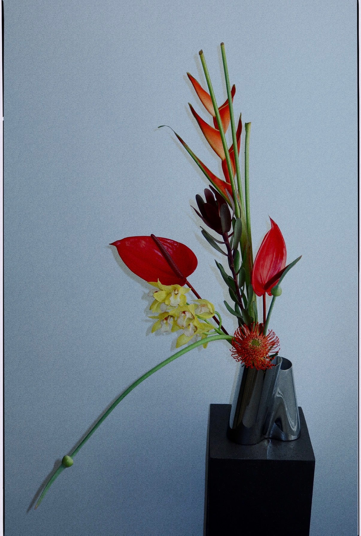 Signature Flower Subscription