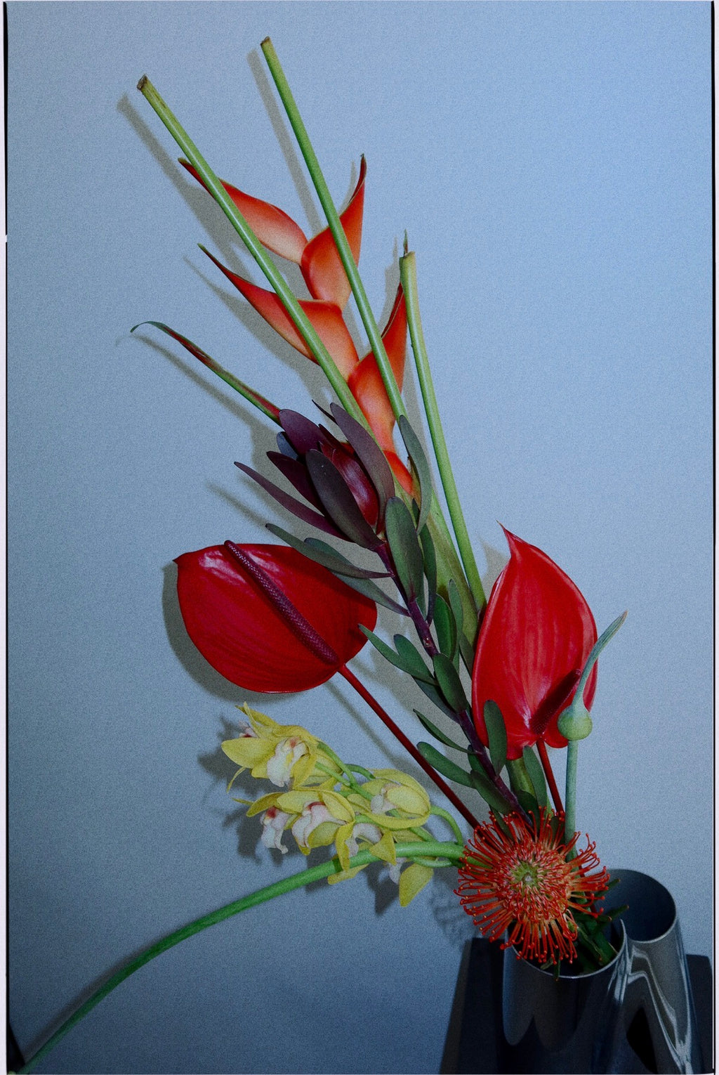 Signature Flower Subscription